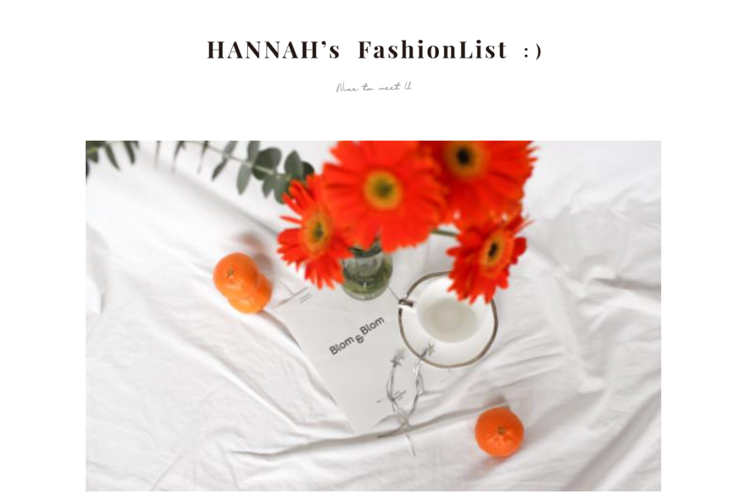 Hannah妞’s fashionlist